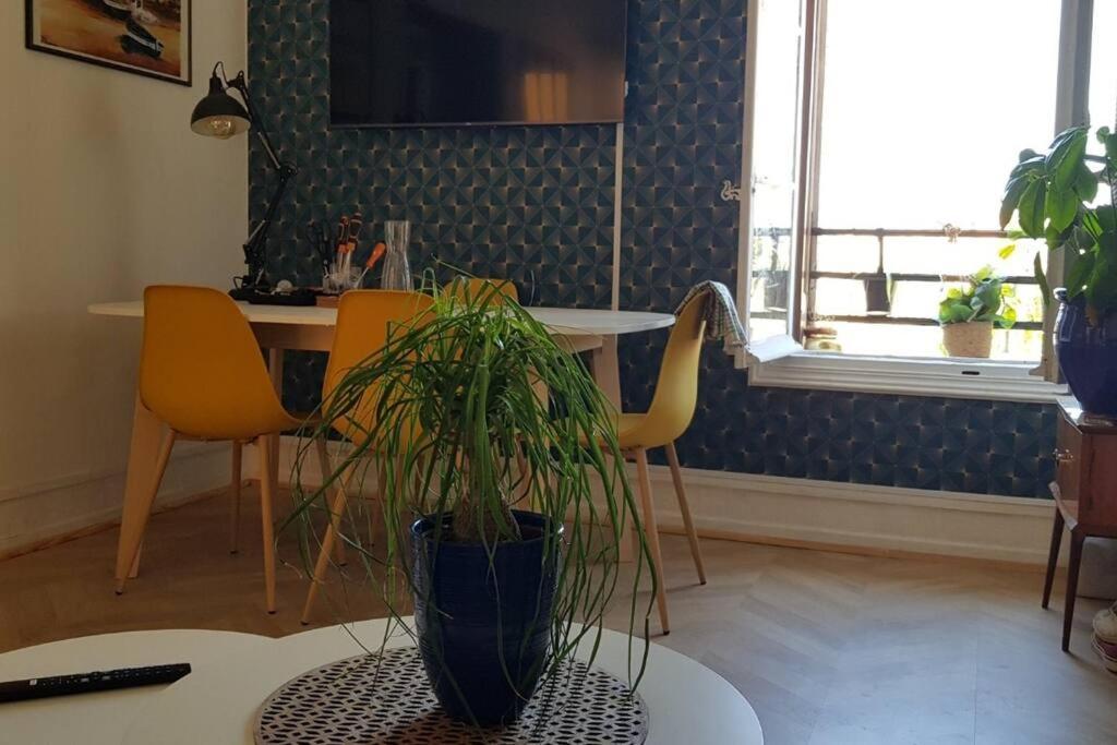 Appartement 300 M Plage Et Port Banyuls-sur-Mer Extérieur photo
