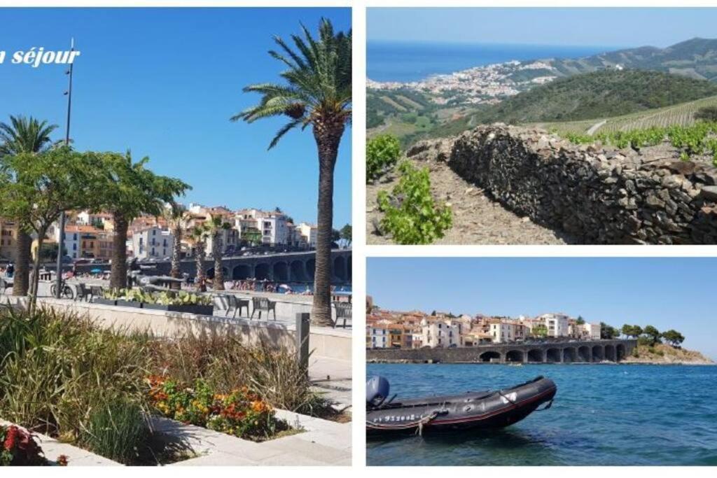 Appartement 300 M Plage Et Port Banyuls-sur-Mer Extérieur photo