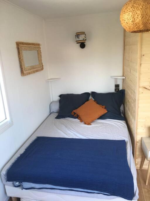 Appartement 300 M Plage Et Port Banyuls-sur-Mer Extérieur photo
